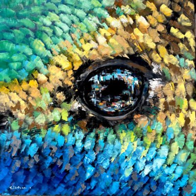 Bird series, Hummingbird