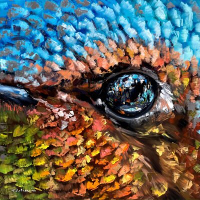 Bird series, Hummingbird