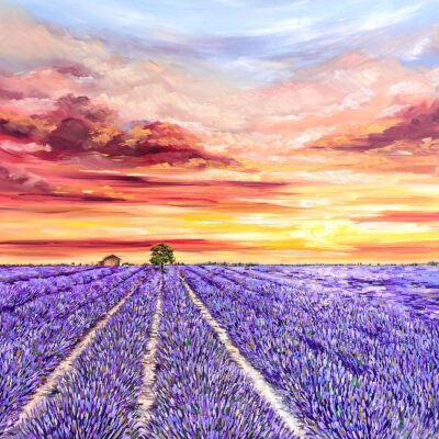 Fields series, Lavender Sunset