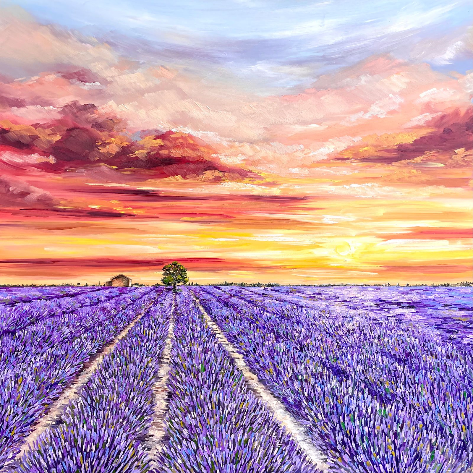Fields series, Lavender Sunset