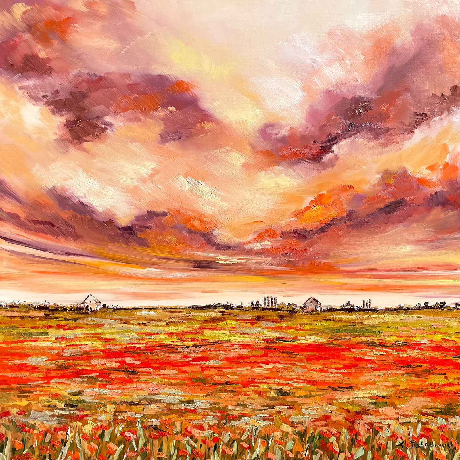 Fields series, Poppy Sunset